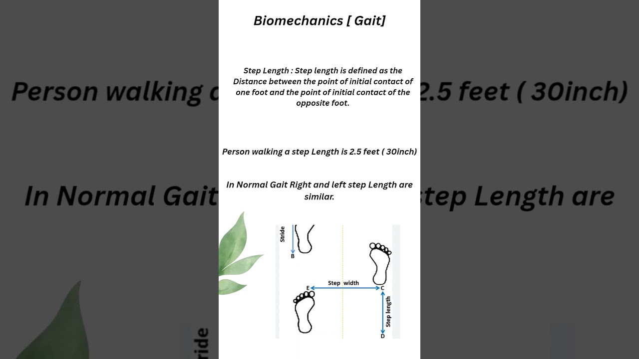 Step Length Biomechanics ( Gait)