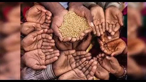 Government dismisses Global Hunger Index report, says methodology used is 