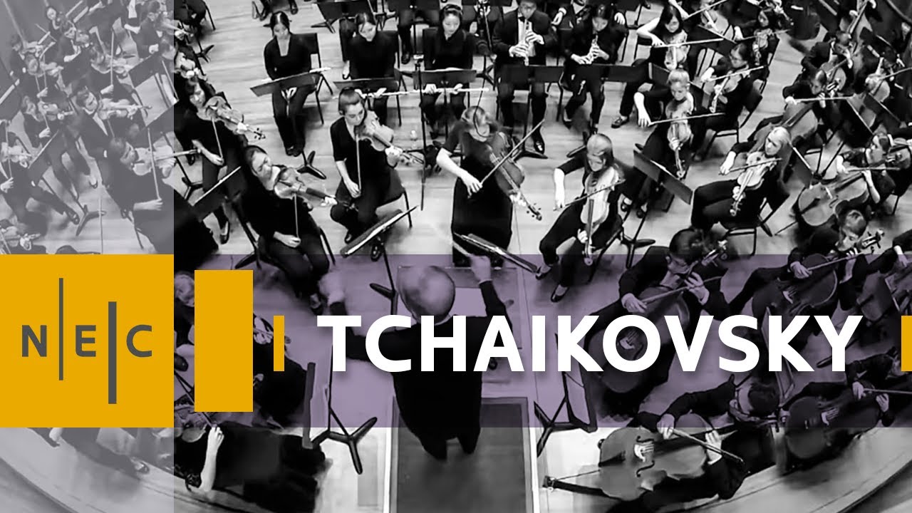 brassica rapa Tchaikovsky Symphony No. 6 [ 3rd Movement]