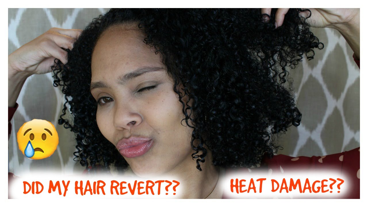 Did My Hair REVERT Straight To Curly Sincerely Sharon YouTube