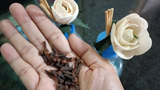 Make Your Own Insect Repellent: A Simple DIY Fragrant Solution