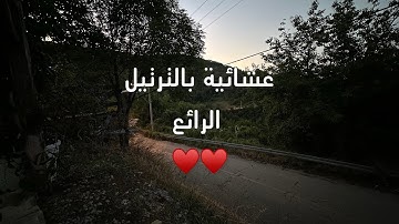 عشائية خاشعة تريح القلب للقارئ محمد اللحيدان من سورتي فصلت و سبأ ١٢ محرم ١٤٤٦ هـ