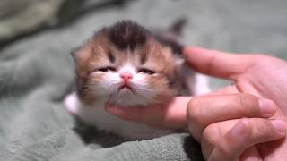 Held by Love