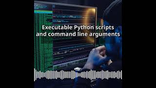 Executable Python scripts and command line arguments | CyberSecurity & DevSecOps Expert:...