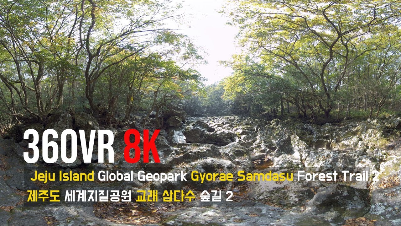 360VR [8K] Jeju Island Global Geopark Gyorae Samdasu Forest Trail 2 ...
