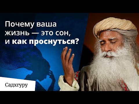 Твоя жизнь на 99% — просто иллюзия