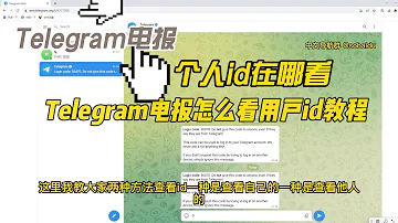 Telegram电报个人id在哪看 Telegram电报怎么看用户id教程 