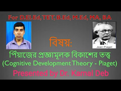 ভিডিও: Piaget এর বিকাশের পর্যায়গুলির সঠিক ক্রম কী?