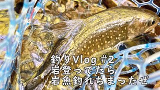 釣りVlog #2 岩登ってたら岩魚釣れちまったぜ