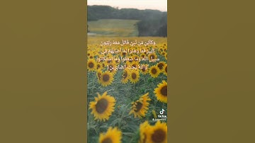 تلاوة باكية للقارئ سعد السبيعي