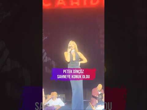 Petek Dinçöz, önceki