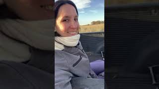 Coronel Pringles: campo argentino