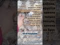 Ремонт сруба дома #заменавенцов #стройка #ремонтдома #деревянныедома #переделкадома