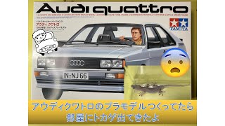 Incident] I was building a plastic model of an Audi Quattro when a