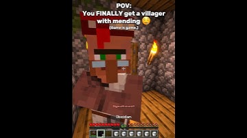 POV: you finally get mending 🤤 #minecraft #shorts
