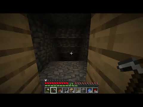 MINECRAFT SURVIVAL ELSÖ RÉSZ