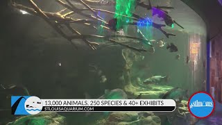 STL Moms Keep kids entertained and interested in learning about local and world marine life