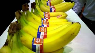 La banane de Guadeloupe et Martinique bien représentée au Salon de l'Agriculture de Paris