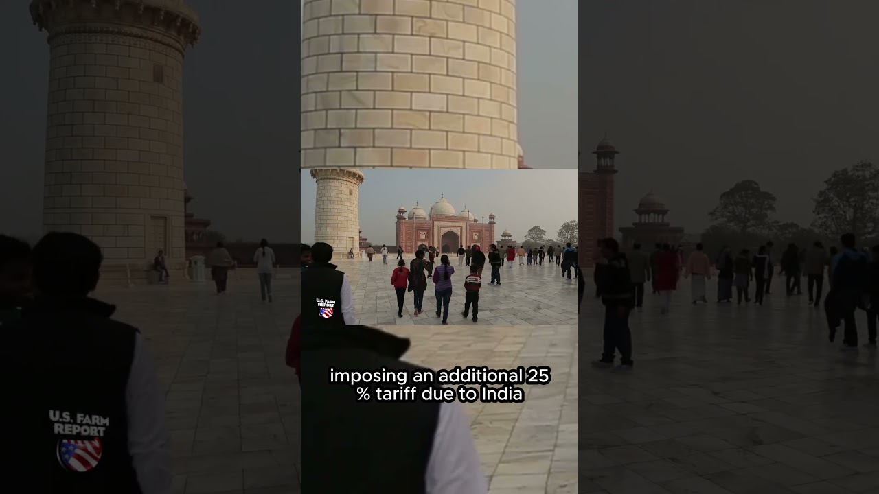 Tariffs on imports from India 