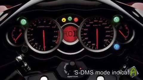 Demo-Muvee-Reveal-8.0-Part-I.mp4