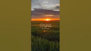 ﴿فإصبر صبرا جميلا إنهم يرونه بعيدا ونراه قريبا﴾📖🫀، القارئ: إسلام صبحي ❤️‍🩹ㅤ#قرآن #اسلام_صبحي #تلاوة