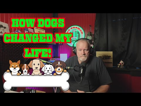 Helping Dogs Has a Life-Changing Effect You Won't Believe!