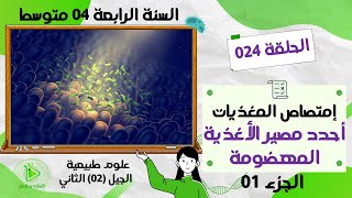 طرح تساؤل حول إختفاء  المغذيات من المعي الدقيق علوم طبيعية سنة 04 متوسط