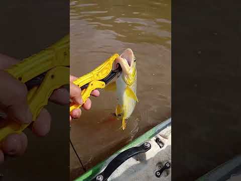 JA ESTÃO SAINDO NA ARTIFICIAL