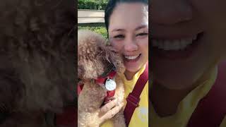 #shortsvideo #shorts #buhayowf #puppy