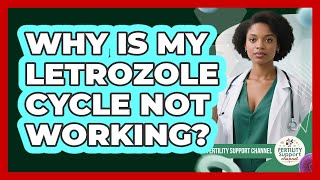 Why Is My Letrozole Cycle Not Working - Fertility Support Channel