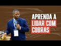 Aprenda a lidar com cobras  pr osiel gomes