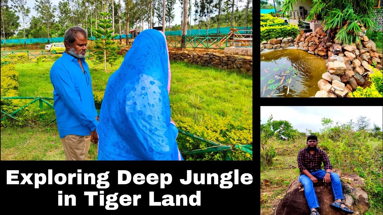 Cheap and Best Vacation Spot at Thalamalai, Peace Valley Resort - Queen Jhansi Vlog