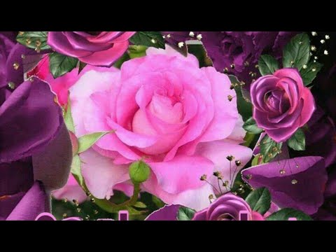 PRIYA ROY OFFICIAL is live! - YouTube