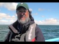 Gray Whales Up Close