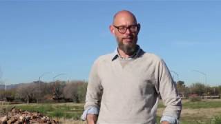 How To: Plant Wildflowers in the Desert