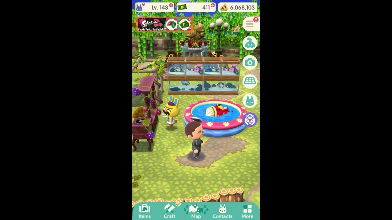 Animal Crossing Pocket Camp Pascal's kiddie pool & Leif's flower