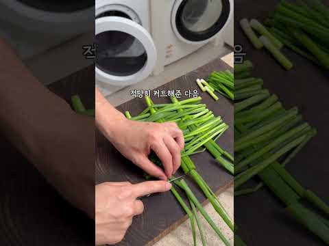 보테가 <strong>파전</strong> [생존기 15일 차]