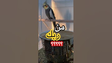 #الجمعة | #اللهم_صل_وسلم_على_نبينا_محمد | #سورة_الكهف | #دعاء_مستجاب | #ساعة_استجابه | #النبي