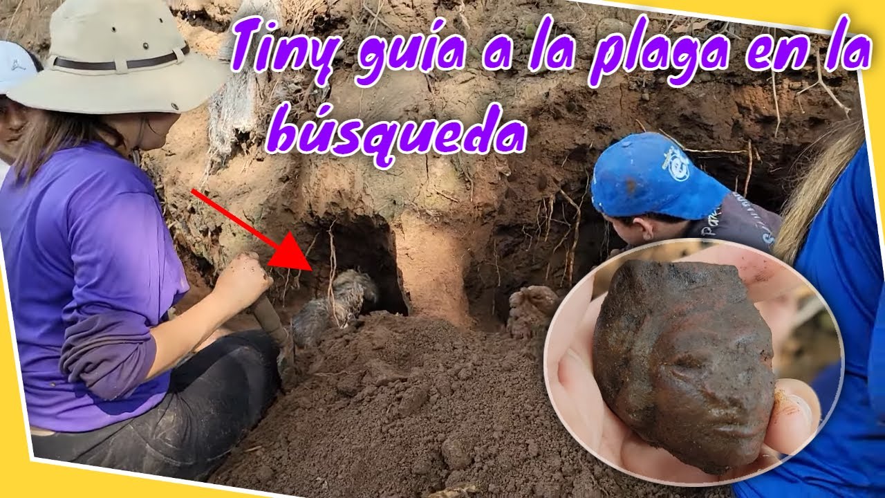 Tyni se sumó a la búsqueda arqueológica y mira lo que encontró. Ya hay resultados de la búsqueda P12