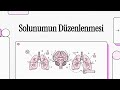 Solunumun Düzenlenmesi (Regulation of Respiration)