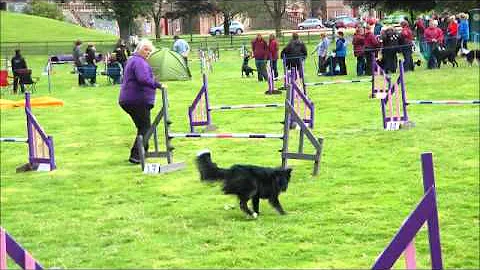 Skye at Dryburgh Abbey Fun Show 09-12.wmv
