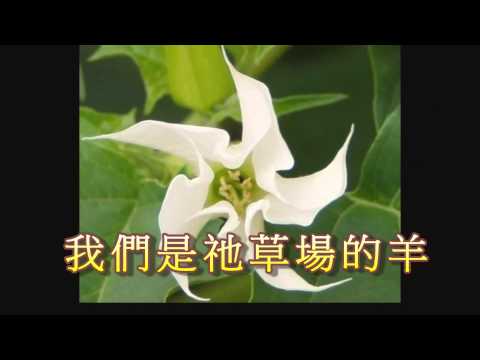 活水感謝詩練習曲S 2