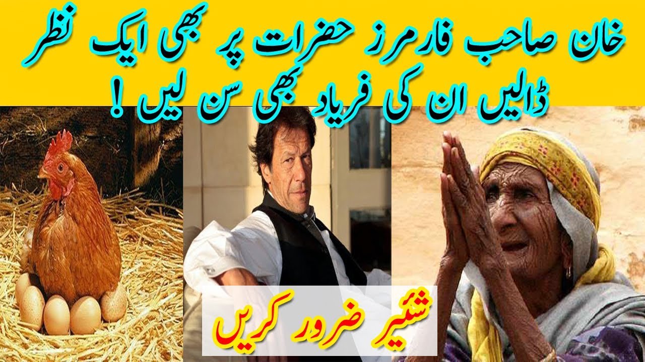 Imran Khan Saab Aik Bar Poultry Farmers Ki Bi Sun Lain
