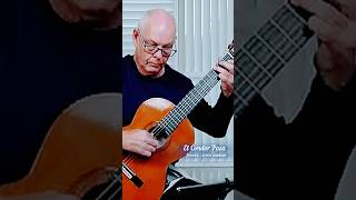 El Condor Pasa Acoustic Guitar by soren madsen guitar