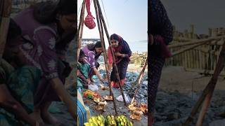 Manal manauti 🙏 Jay chathi maiya 🙏♥️#manish priyanka officials#youtubeshorts #trending #song
