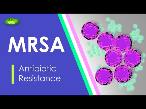 MRSA | Methicillin Resistant | Staphylococcus aureus | Antibiotic Resistance | Basic Science Series