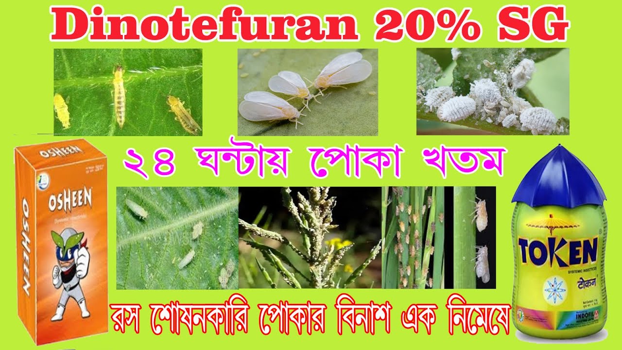 Dinotefuran 20% SG। সকল প্রকার রস শোষণকারী পোকা দমন।Osheen। token। # ...