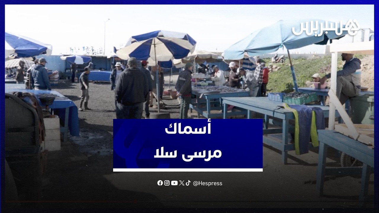 استقرار الأحوال الجوية ينعكس إيجابا على جودة وأسعار الأسماك بمرسى سلا