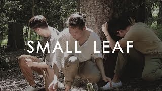 "Small Leaf" - Hayden Calnin | John Kim