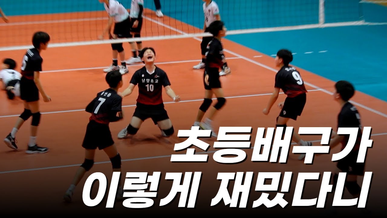 너무 재미있어서 깜짝 놀란 초등배구경기 (단양 소백산배 초등배구대회 남양초 VS 제천의림초 8강전)